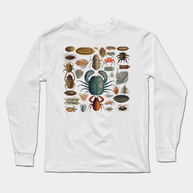 Sea Creature Entomology Board Long Sleeve T-Shirt by Young Inexperienced 